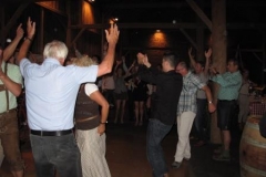 Sommermeeting Schlögen 2012 Stadl Party