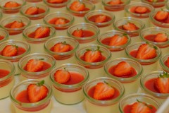 fuchs-videophotography-87